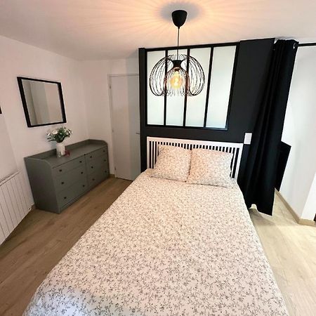 Sacre Appartement/Jardin/Parking/Wifi Rodez Exteriér fotografie