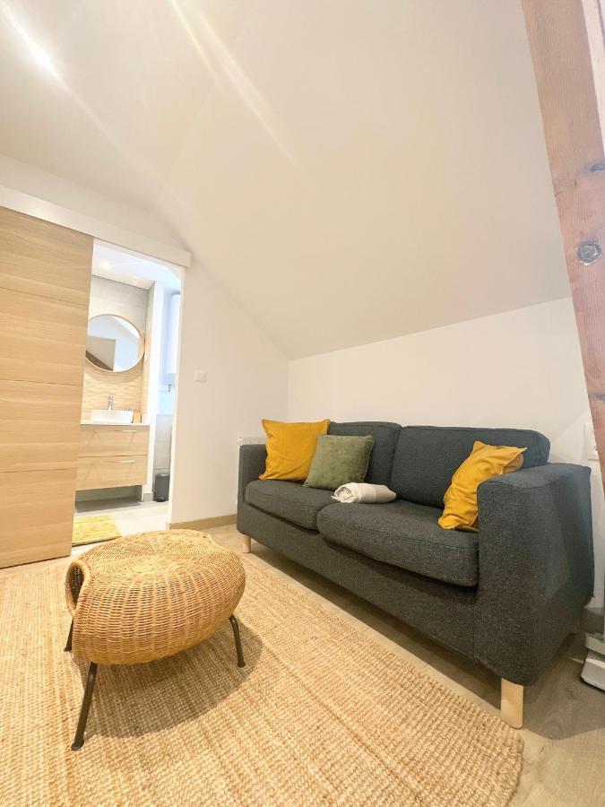 Sacre Appartement/Jardin/Parking/Wifi Rodez Exteriér fotografie