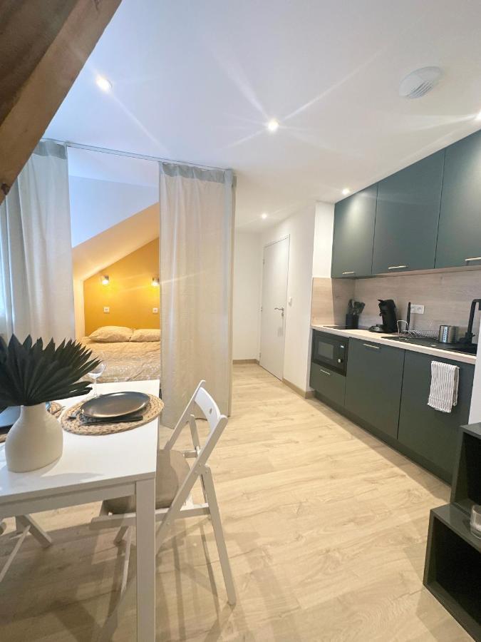 Sacre Appartement/Jardin/Parking/Wifi Rodez Exteriér fotografie
