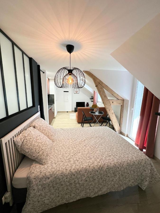 Sacre Appartement/Jardin/Parking/Wifi Rodez Exteriér fotografie