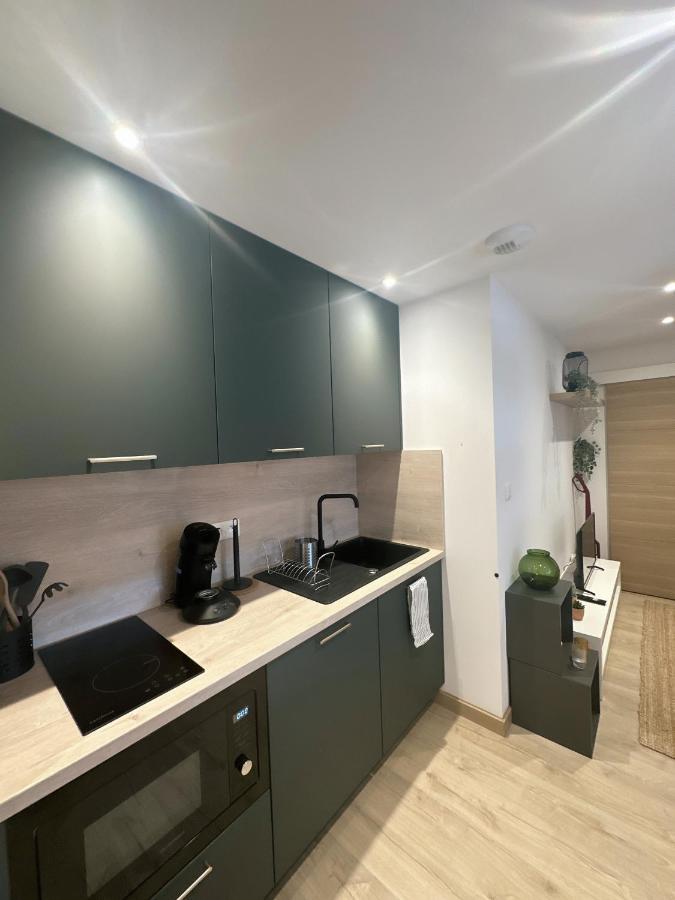 Sacre Appartement/Jardin/Parking/Wifi Rodez Exteriér fotografie